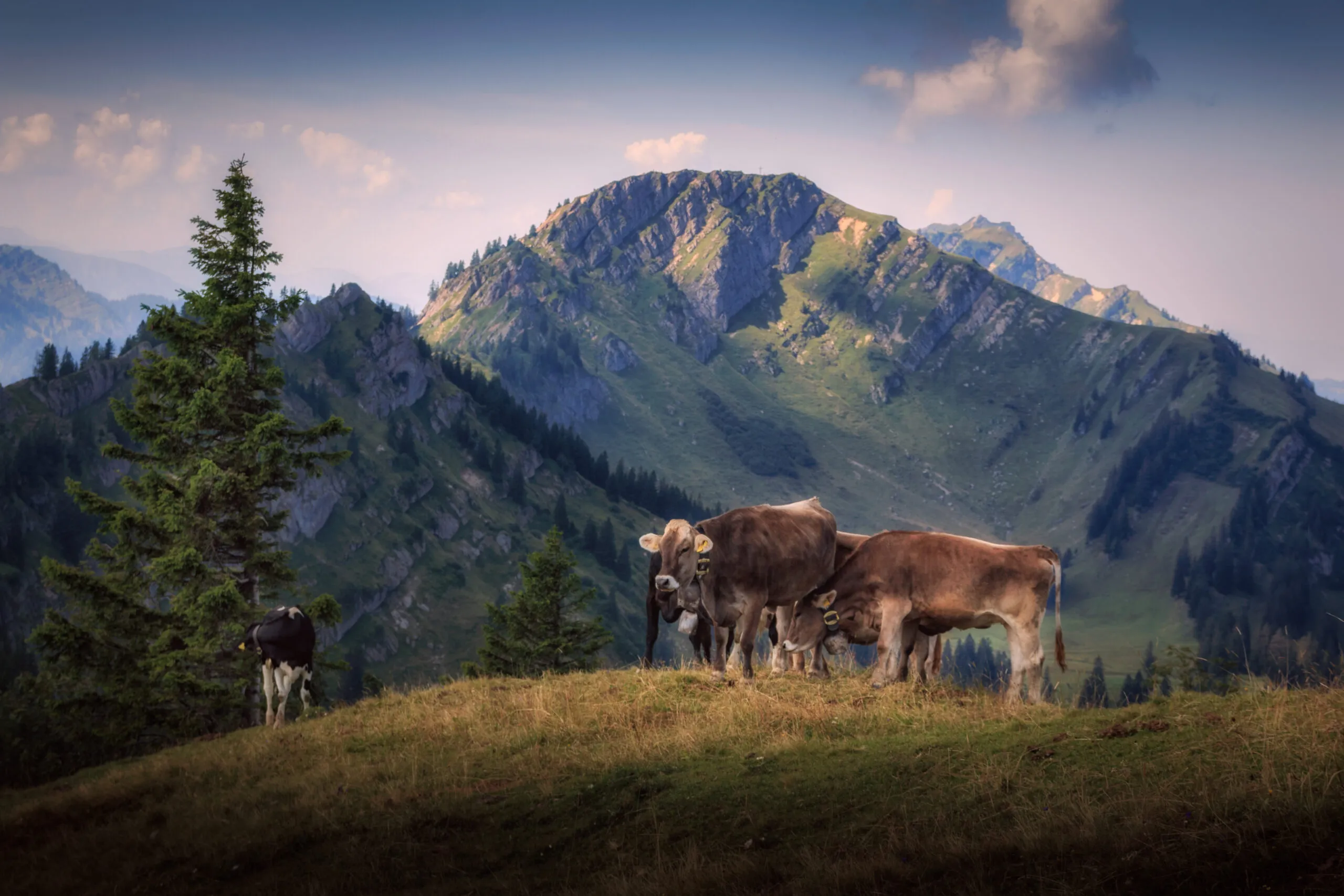 Regionen in Bayern – Entdeckt die Vielfalt zwischen Alpen, Flüssen & historischen Städten